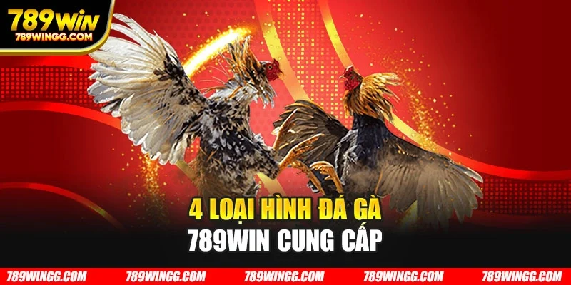 4 loại hình đá gà 789WIN cung cấp