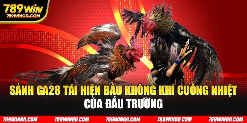 Sảnh Ga28 tái hiện bầu không khí cuồng nhiệt của đấu trường