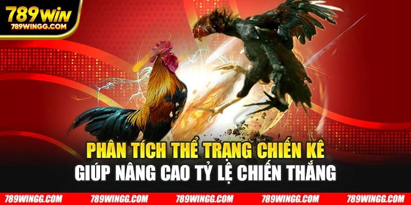 Phân tích thể trạng chiến kê giúp nâng cao tỷ lệ chiến thắng