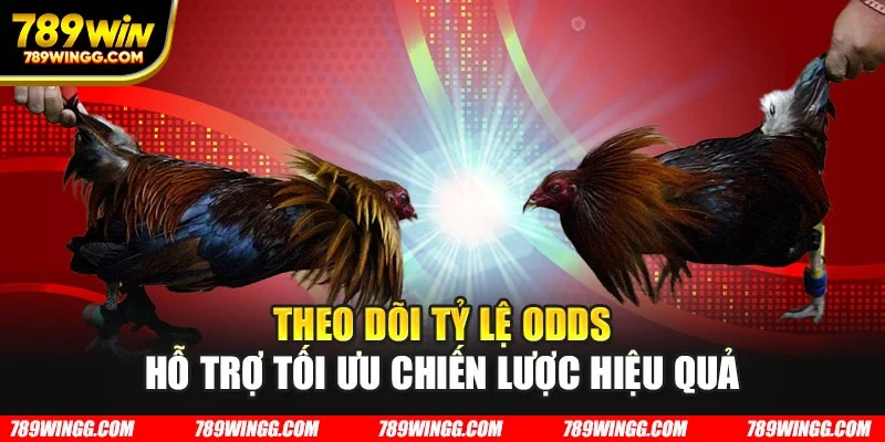 Theo dõi tỷ lệ odds hỗ trợ tối ưu chiến lược hiệu quả