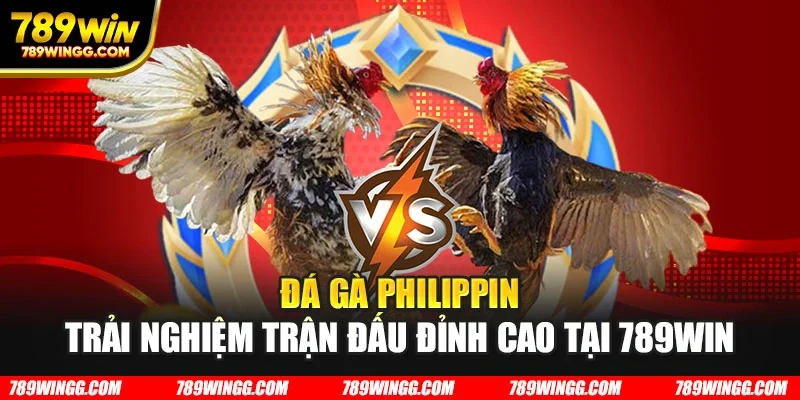 Đá gà Philippin