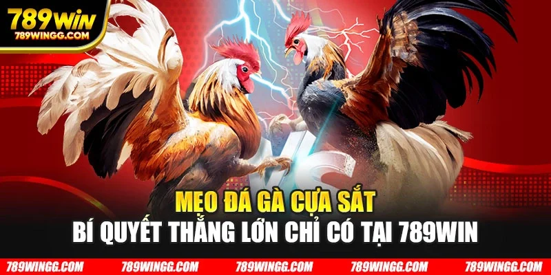Mẹo đá gà cựa sắt