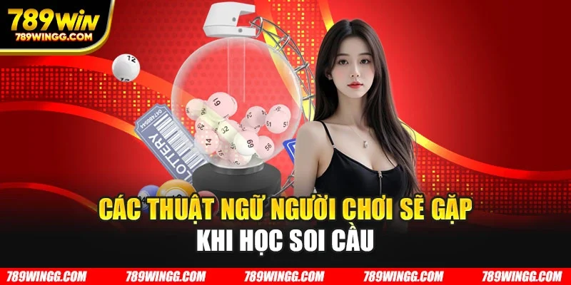 Các thuật ngữ người chơi sẽ gặp khi học soi cầu